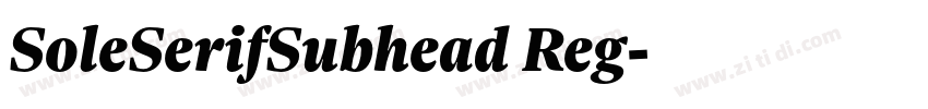 SoleSerifSubhead Reg字体转换